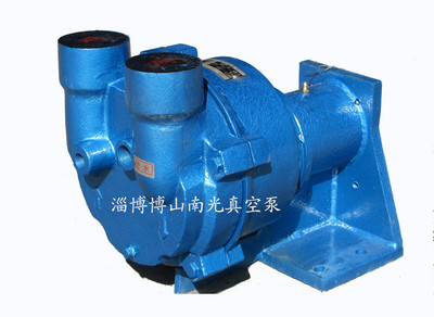 2BV2071泵頭 工業真空泵的核心力量解析